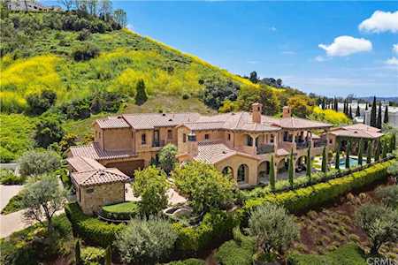 30727 Paseo Elegancia San Juan Capistrano, CA 92675