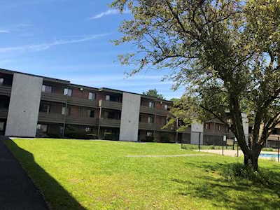 15 Arizona Ter #4 Arlington, MA 02474