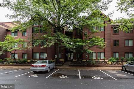 2811 Lee Oaks Ct #304 Falls Church, VA 22046