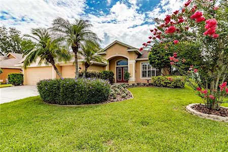 385 Knight Drive Tarpon Springs, FL 34688