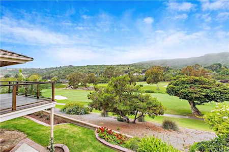 32041 E Nine Drive Laguna Niguel, CA 92677