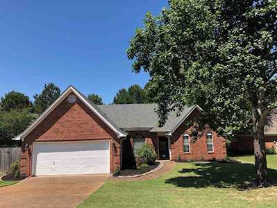 1502 Wolf Ridge Dr Collierville, TN 38017
