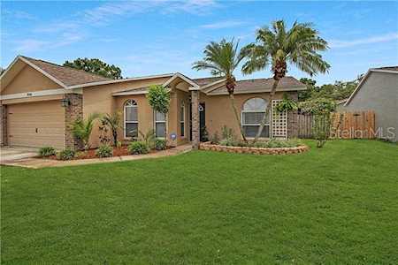 3086 Sean Way Palm Harbor, FL 34684