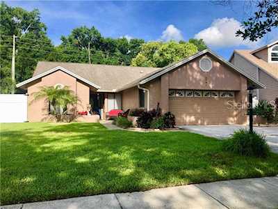 3241 Montrose Circle Palm Harbor, FL 34684