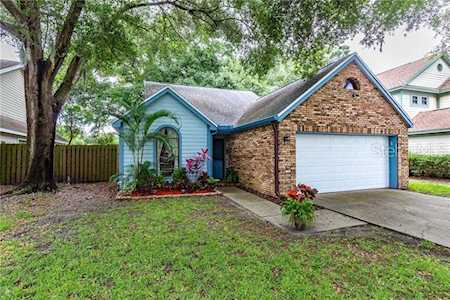 692 Greenglen Lane Palm Harbor, FL 34684