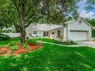 3224 Montrose Circle Palm Harbor, FL 34684