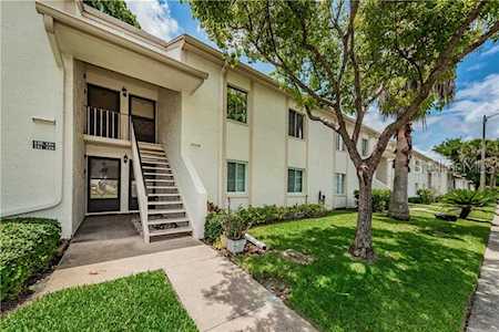 129 Cypress Court #3-101 Oldsmar, FL 34677