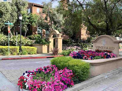 49 Meritage Livermore, CA 94551