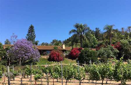 6731 Via De La Reina Bonsall, CA 92003