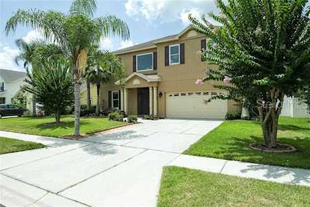 3366 Misty Pond Court Tarpon Springs, FL 34688