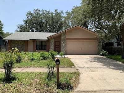 4829 Parson Brown Lane Palm Harbor, FL 34684