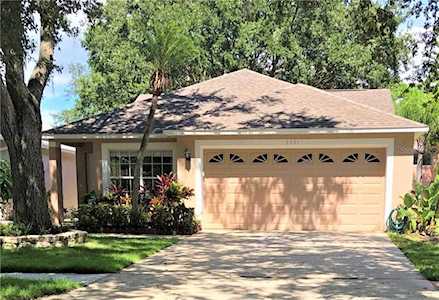 3641 Sapphire Lane Palm Harbor, FL 34684