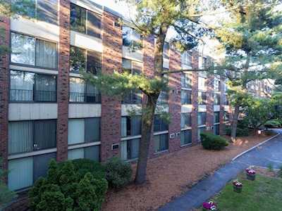 993 Massachusetts Ave #212 Arlington, MA 02476