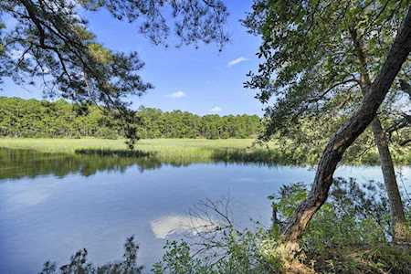 315 Martins Creek Ln Charleston, SC 29492