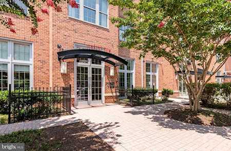 1391 Pennsylvania Ave SE #365 Washington, DC 20003