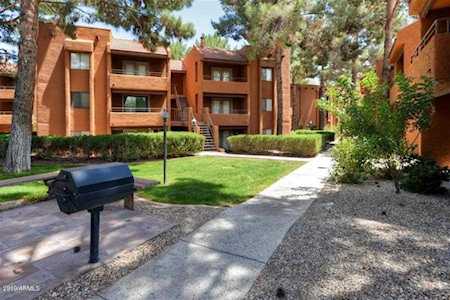 4704 E Paradise Village Parkway #323 Phoenix, AZ 85032