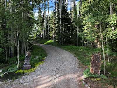 368 Skunk Creek Rd Telluride, COLORADO 81435