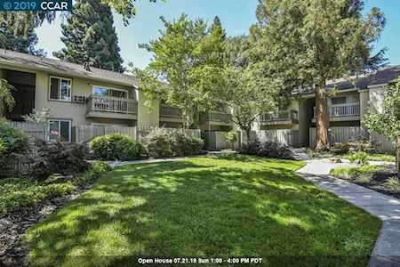 1251 Homestead Ave #172 Walnut Creek, CA 94598
