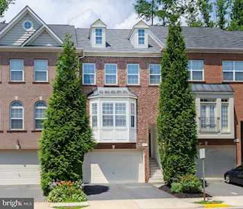 4526 English Holly Dr Fairfax, VA 22030