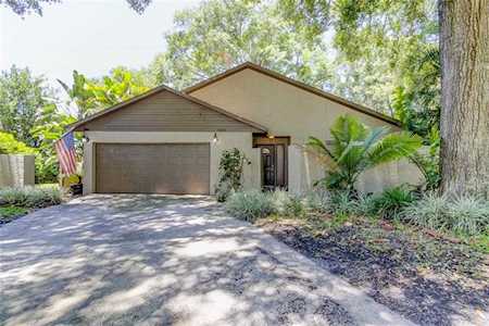 664 Channing Drive Palm Harbor, FL 34684
