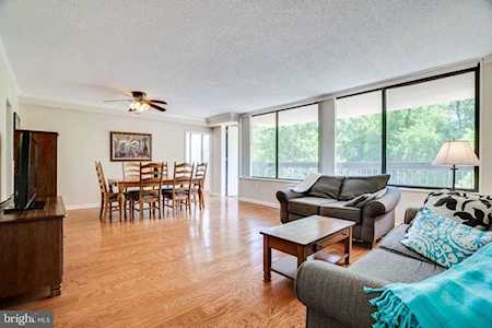 3705 George Mason Dr #111S Falls Church, VA 22041