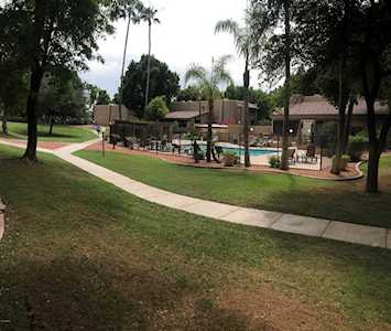 3825 E Camelback Road #178 Phoenix, AZ 85018