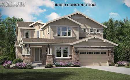 17555 Lake Overlook Court Monument, CO 80132