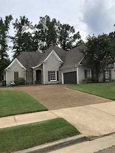 12115 Gold Spring Cv Arlington, TN 38002