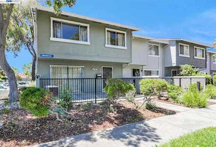 4667 Granada Way Union City, CA 94587