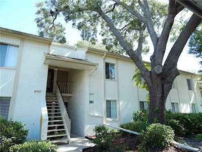 204 Palmetto Court #204 Oldsmar, FL 34677