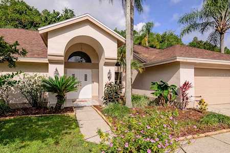 450 E Waterford Circle Tarpon Springs, FL 34688