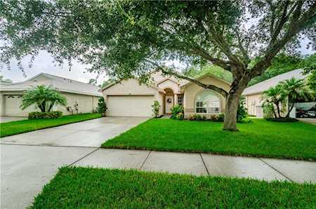 323 Tavernier Drive Oldsmar, FL 34677