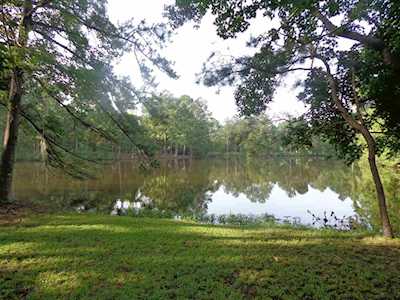 3636 Las Brisas Street Tallahassee, FL 32309
