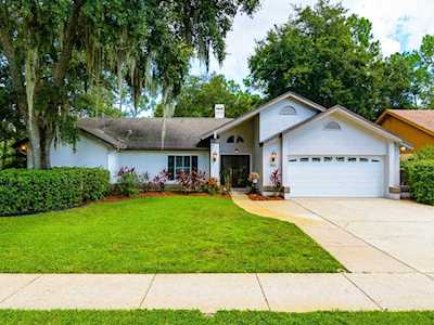 617 Centerwood Drive Tarpon Springs, FL 34688