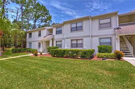 316 Windward Place #316 Oldsmar, FL 34677