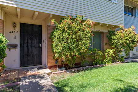 4452 E Belleview Street Phoenix, AZ 85008