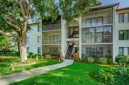 2655 N Pine Ridge Way #A2 Palm Harbor, FL 34684