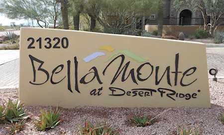 21320 N 56th Street #2036 Phoenix, AZ 85054