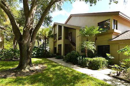 3071 Landmark Boulevard #1406 Palm Harbor, FL 34684