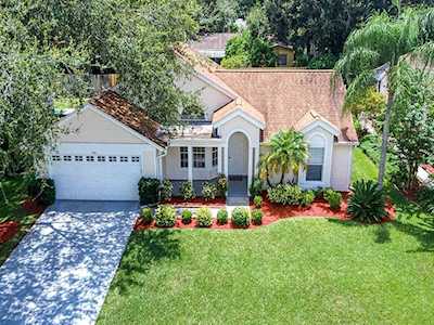 970 Valley View Circle Palm Harbor, FL 34684
