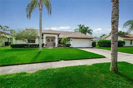 579 Hollowtree Place Tarpon Springs, FL 34688