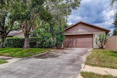 623 Bonnie Boulevard Palm Harbor, FL 34684