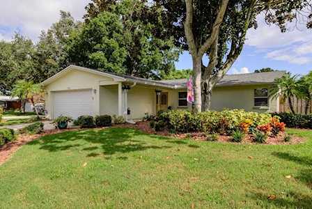 2064 Sun Tree Drive Clearwater, FL 33763