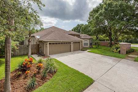 643 Equine Drive Tarpon Springs, FL 34688