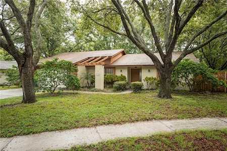 445 Oak View Terrace Palm Harbor, FL 34684