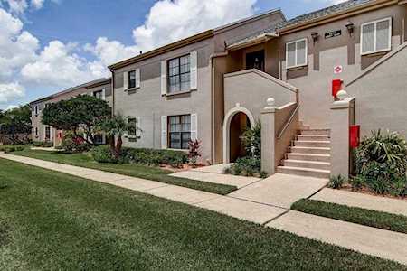 2453 Egret Boulevard #O-203 Clearwater, FL 33762