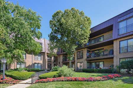 2 The Court of Harborside #202 Northbrook, IL 60062