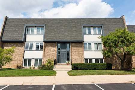 2031 Ammer Ridge Ct #101 Glenview, IL 60025