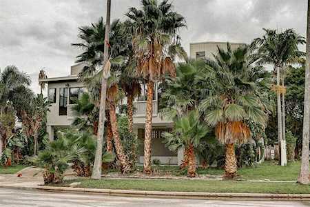 3203 E Debazan Avenue St Pete Beach, FL 33706