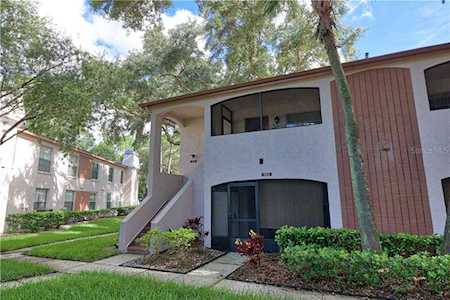 2998 Bonaventure Circle #204 Palm Harbor, FL 34684